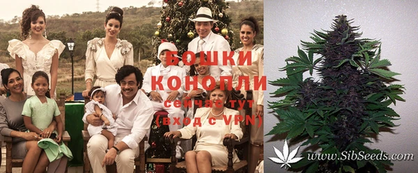 твердый Кинешма