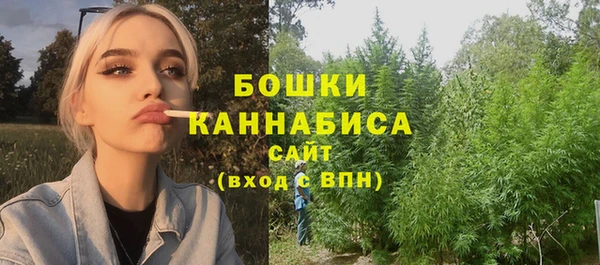 индика Дмитриев