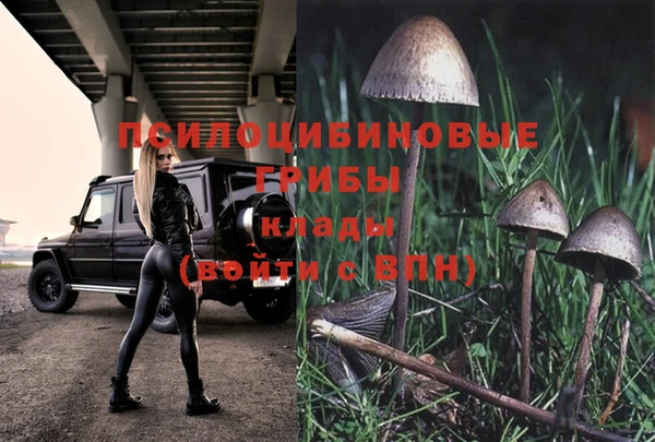 PSILOCYBIN Киреевск