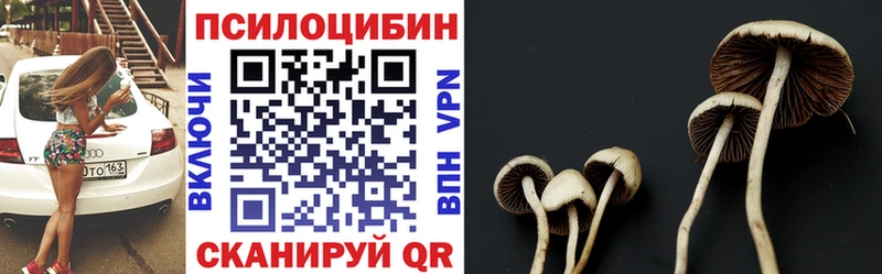 Псилоцибиновые грибы Psilocybe hydra рабочий сайт Красноуральск